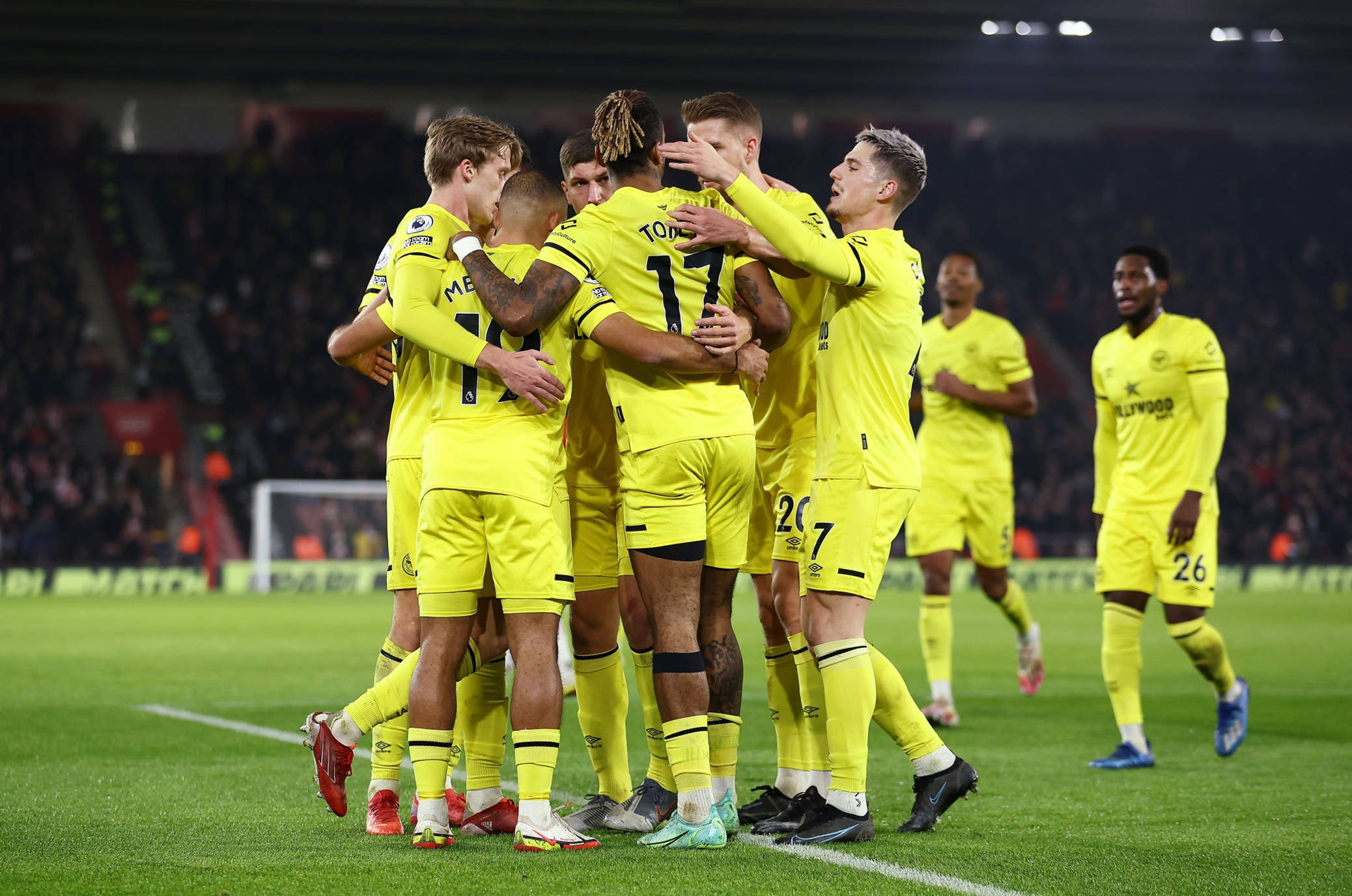 茨决定未来 茨决定未来